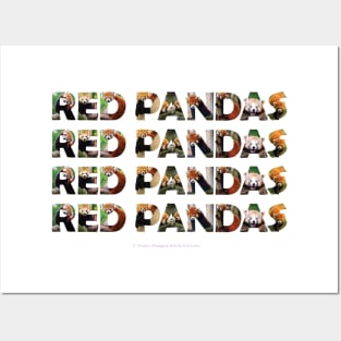 RED PANDA RED PANDA RED PANDA - wildlife oil painting word art Posters and Art